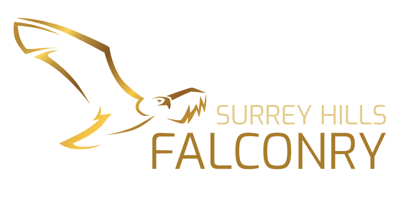 Surrey Hills Falconry