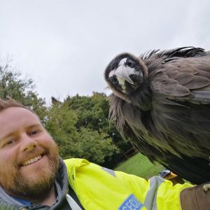 Corporate & Bespoke Falconry Experiences